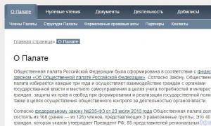 Общественная палата РФ: история создания и принципы формирования Председатель общественной палаты рф