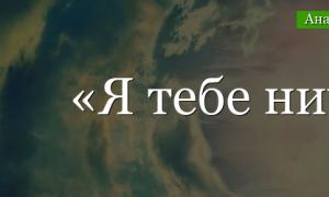 Анализ стихотворения Я тебе ничего не скажу (Фет А