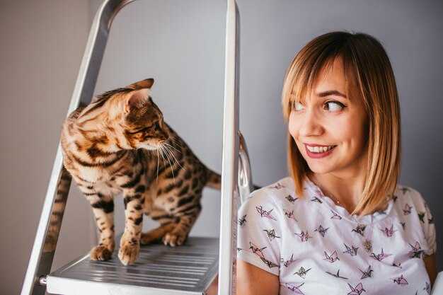 Социальные и культурные аспекты преображения